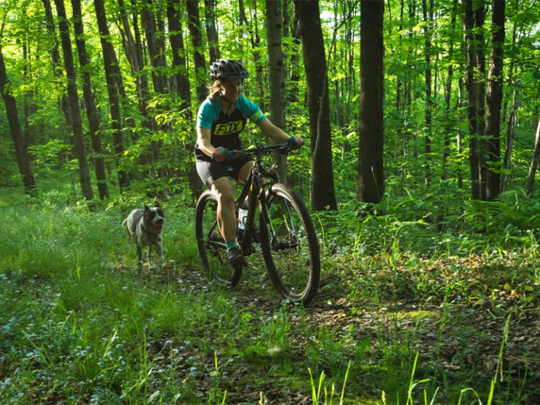 Ironwood Openings Ironwood Plastics